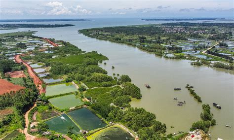  霞海濕地公園：湛江奇觀，生態天堂！